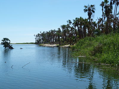 San Jose del Cabo Estauary